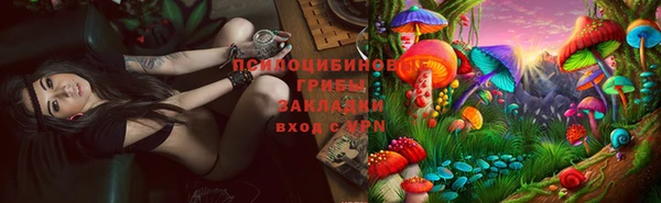 амф Магадан