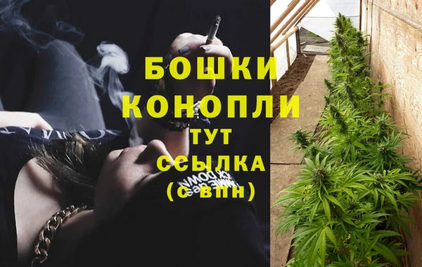 амф Магадан