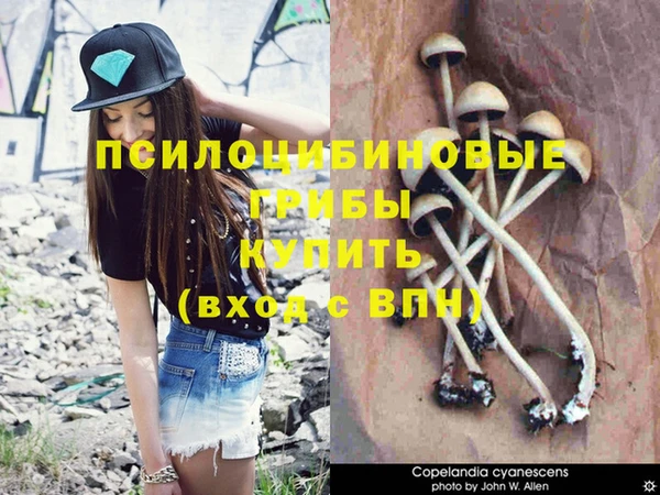 соль курить ск Медвежьегорск