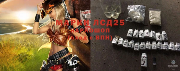 ГАЛЛЮЦИНОГЕННЫЕ ГРИБЫ Магас