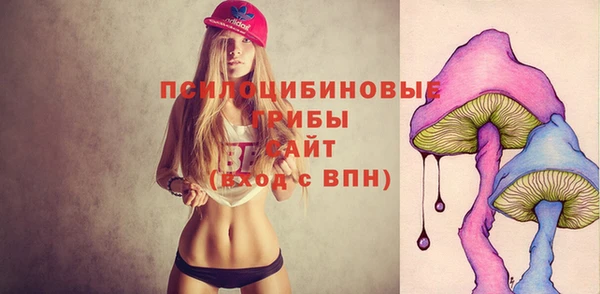 гидропоника Медногорск