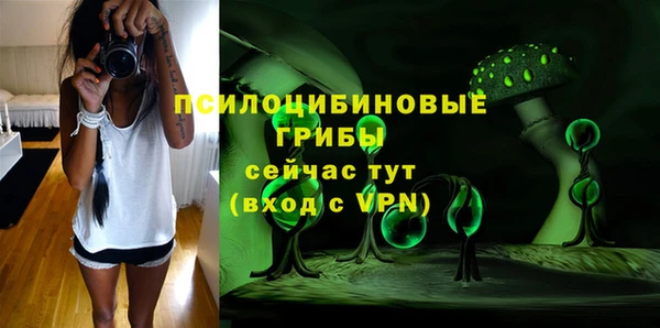 соль курить ск Медвежьегорск